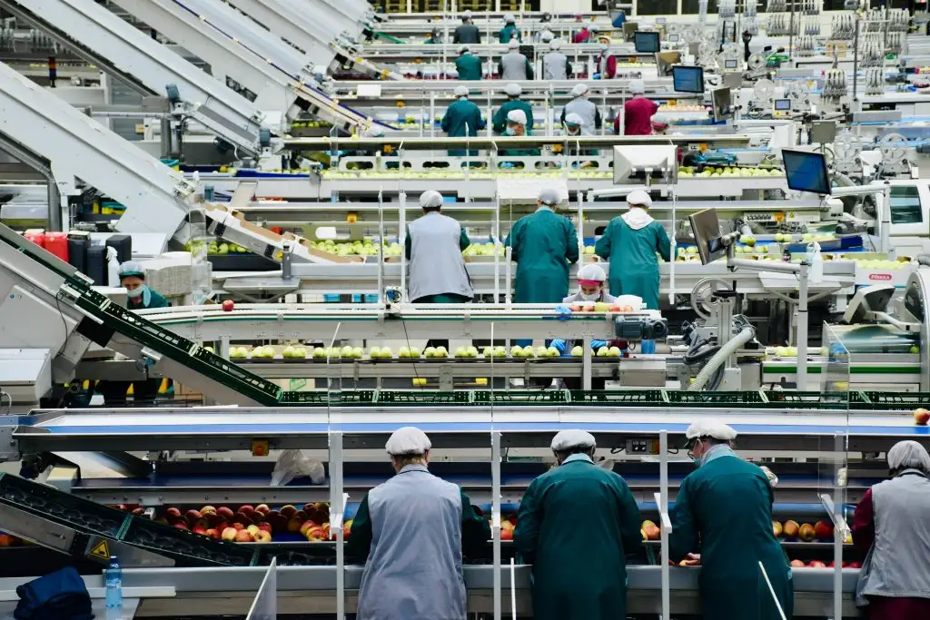 Workers operating automated food production lines in a modern factory, representing Poland’s advanced and growing food processing industry.