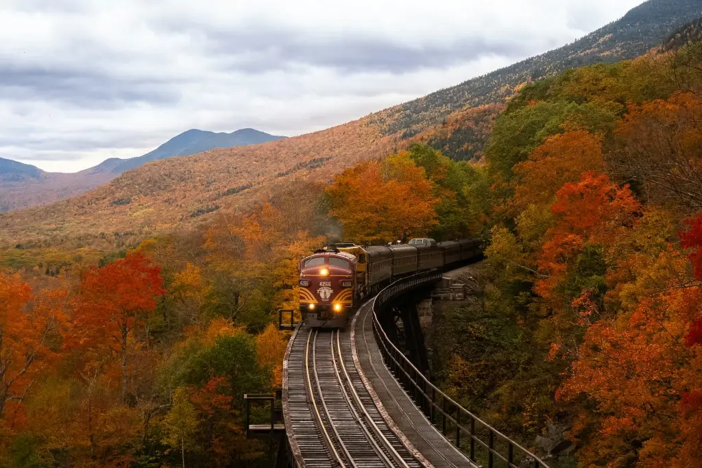 Freight train moving through autumn mountains, symbolizing Poland’s growing rail transport and logistics infrastructure.